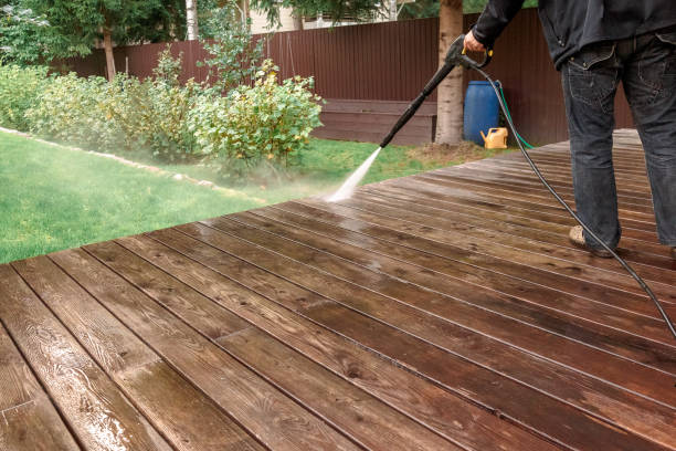Best Solar Panel Cleaning  in South El Monte, CA